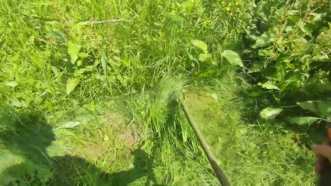 cutting grass at an abandoned house with a stihl fs 235 brushcutter