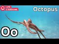 ABC Phonics Adventure for Kids | Learn Alphabet Letters, Sounds, Animals &amp; Easy Words
