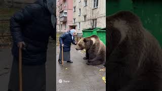 Бабушка погладила медведя, но отчитала за мусор! 🐻🗑️ "Не на моей помойке!"