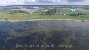 Mapping Seagrass by drone footages