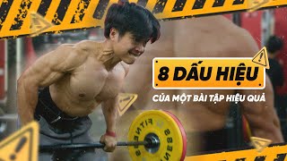 Thứ 3 kĩ thuật -  8 DẤU HIỆU CHO MỘT BÀI TẬP HIỆU QUẢ | SmallGym