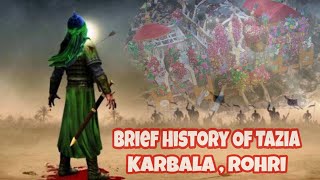 Brief History Of Tazia Karbala Maula | Rohri, Sindh