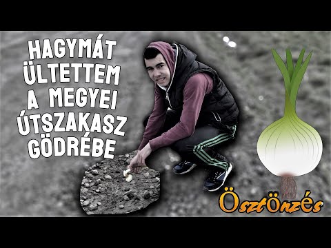 Videó: Hogyan használod az ösztönzés szót?