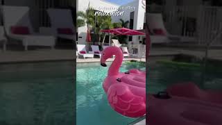 St. Pete Florda Travel Guide #shorts