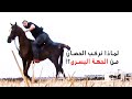لماذا نركب الحصان من الجهة اليسرى ولماذا نضع فقط مقدمة القدم في الركابات لماذا نركب الحصان من الجهة اليسرى ولماذا نضع فقط مقدمة القدم في الركابات