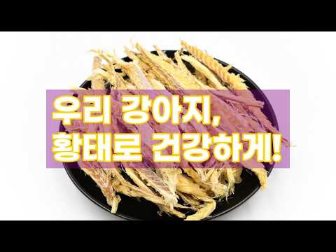 강아지 황태 수제간식 100g 대용량: 우리 아이 건강 보양식!