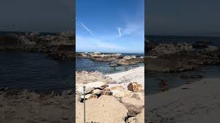 Can’t wait to be back #carmelbythesea #montereybay #babymoontrip #pointlobos #lionsden #tiktok