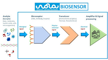 WaterBiosenseMonitoring