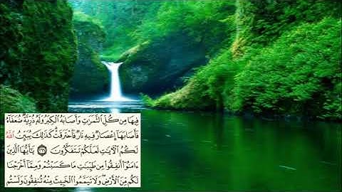 صفحة-45- page سعد الغامدي - -سورة البقرة