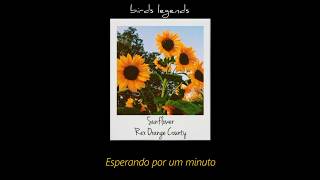 Video thumbnail of "Sunflower - Rex Orange County (legendado)"