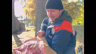 видео: Робота майстрів розробки туші свині  картинка: Робота майстрів розробки туші свині