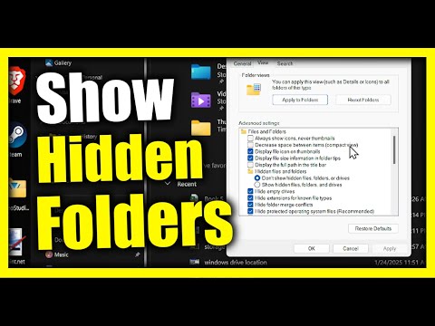 How to Hidden Folders in File Explorer on Windows 11 PC