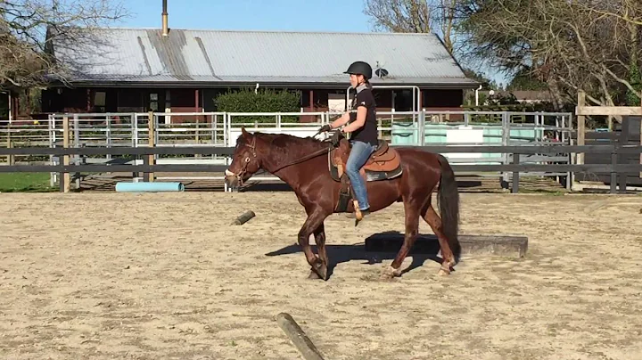Wylie Kaiote & Rebecca Wylie - walk 2.6.2016