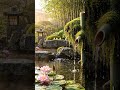 Peaceful Piano & Bamboo Water 🎋 Instant Healing & Stress Relief #shorts