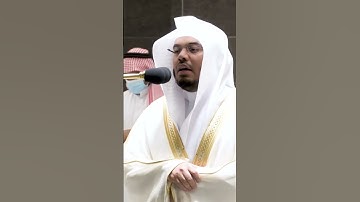 عينا فيها تسمى سلسبيلا ~ تلاوة تحبيرية آسرة للشيخ ياسر الدوسري - التلاوة كاملة بالوصف