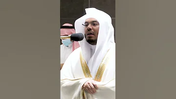 عينا فيها تسمى سلسبيلا تلاوة تحبيرية آسرة للشيخ ياسر الدوسري التلاوة كاملة بالوصف 