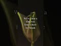 Wiz Khalifa feat. Charlie Puth - See You Again | Lyrics