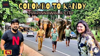 Colombo to Kandy | Pinnawala Elephant Orphanage | Spice Garden | St. Bridget’s Bungalow