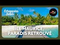 Île Maurice, un paradis retrouvé 🌴 - Échappées belles