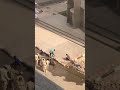 الجنجويد تعترض وتعتدي بالضرب وتهين المواطنين  ويجبرونهم على خلع ملابسهم وغسلها في مياه الشارع