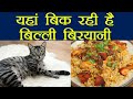 Chennai:  Mutton, Chicken Biryani नहीं अब बिकने लगी है Cat Biryani | वनइंडिया हिंदी