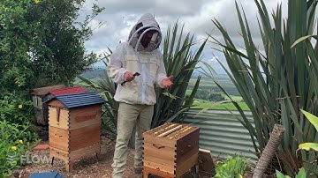 How to use your hive tool 🐝