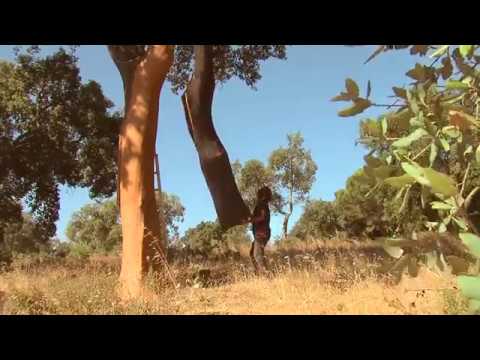 Corkart - Inside the Montado