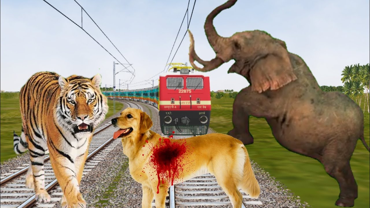 Crazy Elephant at the Track Stop the Train Save the Dod । Escapes in Train Simulator Ep 86