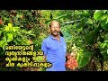 മണി ഏട്ടന്റെ  വ്യത്യസ്തങ്ങളായ കൃഷികളുംചില പൊടികൈകളും IMIXED FARMING