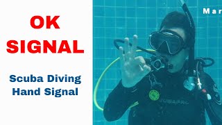 Ok Sign 👌 Scuba Diving Hand Signal