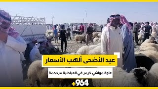 علوة مواشي خرمر في العياضية مزدحمة.. 800 ألف سعر الكبش والعجل يصل لمليونين
