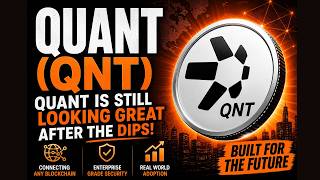 Quant Is Still Looking Great After the Dips!