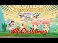 All costumes in story of seasons friends of mineral town