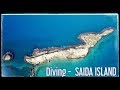 DIVING SAIDA ISLAND DIVING SAIDA ISLAND