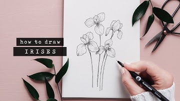 How To Draw An Iris Flower | Floral Illustration