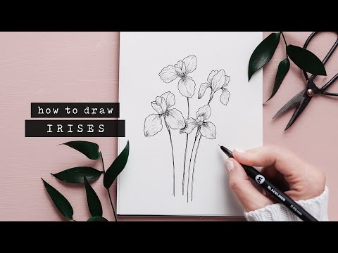 Video: How To Draw An Iris