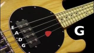 Bass Tuner - Standard Bass Tuning (E A D G) 4 Strings