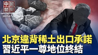 紅膠帶封嘴， 港人發起全球抗議；七一集會，華人聲討中共百年罪惡；中共違背承諾，海關拒絕放行稀土出口；中共新決策機構登場，習不再是一尊？小粉紅唾棄共產黨，系列報導之二【#中國禁聞 】 | #新唐人電視台