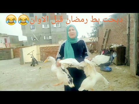 دبحت بط رمضان علي شهرين هنعمل البط مع بعض بطريقه مش هتخلي ولا ريشه وعملت اكله جامده هتعجبكم اوي 