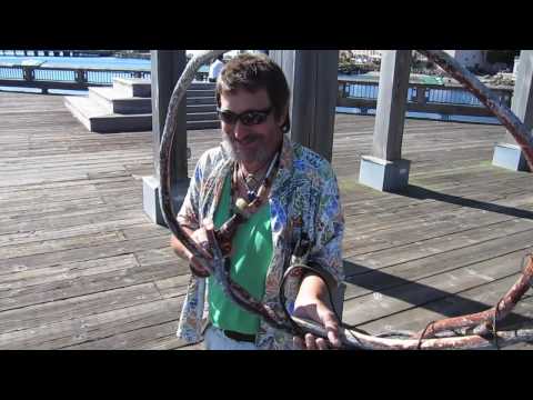 Spoonman: Artis and the Kelp Horn ("Neptune")