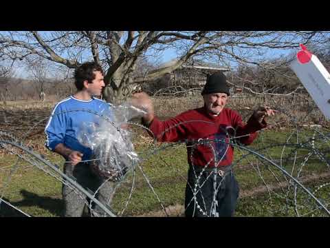 კავკასიის უნივერსიტეტის სტუდენტები დათა ვანიშვილთან