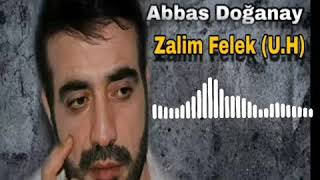 Abbas Doğanay-Zalim Felek(U.H) Resimi