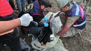 Şanlıurfa'da silah kaçakçılığı operasyonunda 4 şüpheli yakalandı