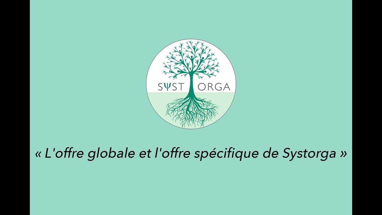 Offre globale et spécifique de SystOrga