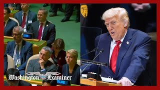 Trump Uses Un To Tell Europe Your Countries Are Going To Hell