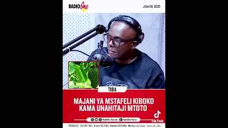 Majani Ya Mstafeli Ni Tiba Ya Changamoto Za Uzazi 255 718 726 265