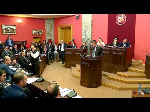 გიორგი გახარიას გამოსვლა საპარლამენტო კომიტეტების გაერთიანებულ სხდომაზე