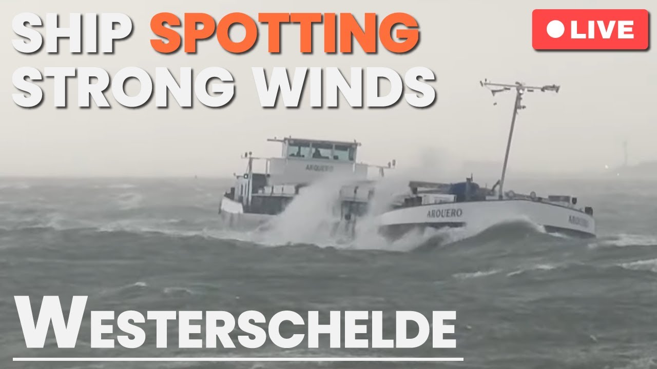 LIVE: 🚢 Storm Benjamin Ship Spotting at the Westerschelde, NL | October 23rd, 2025