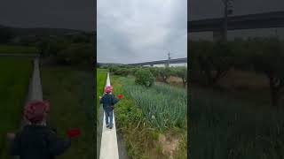 1110521小火影枋寮走走