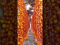 Why Are Fruits Hanging Like Lanterns in China? It’s Not Just Decoration! #shortsvideo